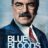 Blue Bloods : 1.Sezon 4.Bölüm izle