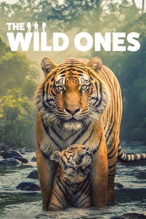 The Wild Ones : 1.Sezon 1.Bölüm